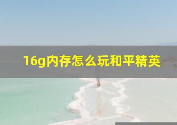 16g内存怎么玩和平精英