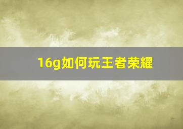 16g如何玩王者荣耀