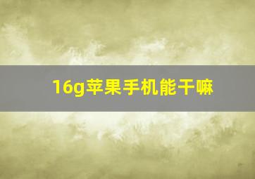 16g苹果手机能干嘛