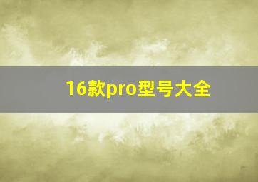 16款pro型号大全