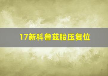 17新科鲁兹胎压复位