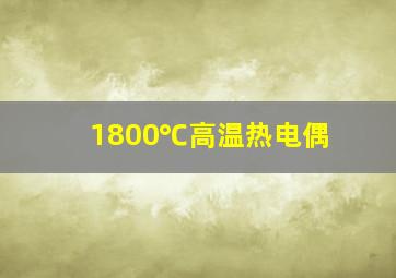 1800℃高温热电偶