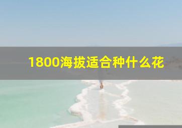 1800海拔适合种什么花