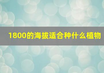 1800的海拔适合种什么植物