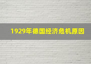 1929年德国经济危机原因