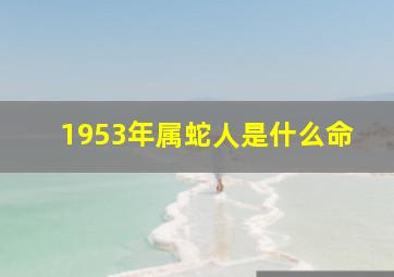 1953年属蛇人是什么命