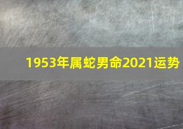 1953年属蛇男命2021运势