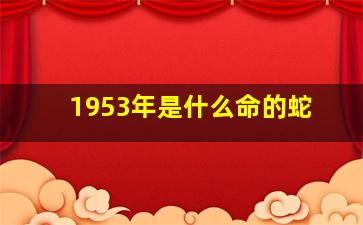 1953年是什么命的蛇