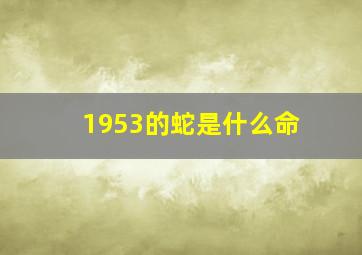 1953的蛇是什么命