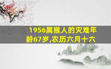 1956属猴人的灾难年龄67岁,农历六月十六