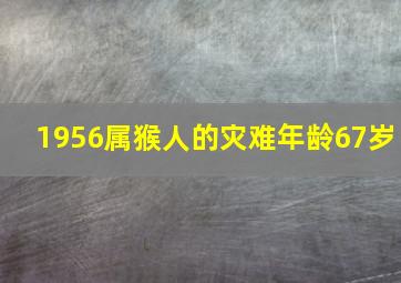 1956属猴人的灾难年龄67岁