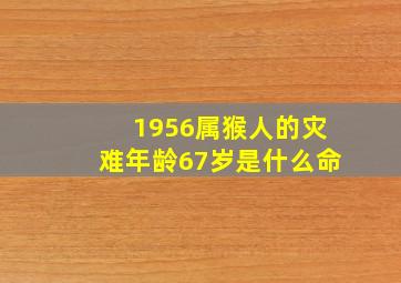 1956属猴人的灾难年龄67岁是什么命