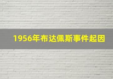 1956年布达佩斯事件起因