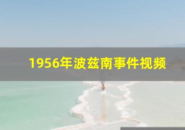 1956年波兹南事件视频