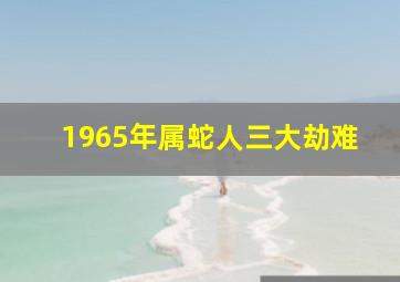 1965年属蛇人三大劫难