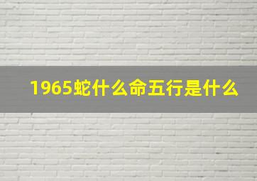 1965蛇什么命五行是什么