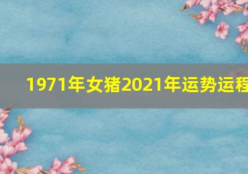 1971年女猪2021年运势运程