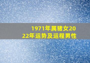 1971年属猪女2022年运势及运程男性