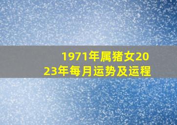 1971年属猪女2023年每月运势及运程