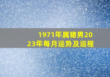 1971年属猪男2023年每月运势及运程