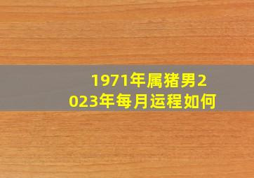 1971年属猪男2023年每月运程如何