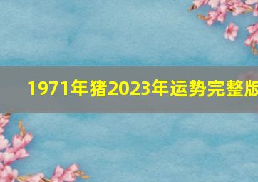 1971年猪2023年运势完整版