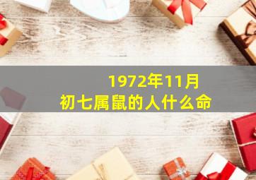 1972年11月初七属鼠的人什么命