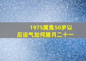 1975属兔50岁以后运气如何腊月二十一