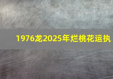 1976龙2025年烂桃花运执