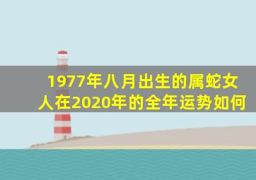 1977年八月出生的属蛇女人在2020年的全年运势如何