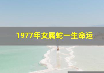 1977年女属蛇一生命运