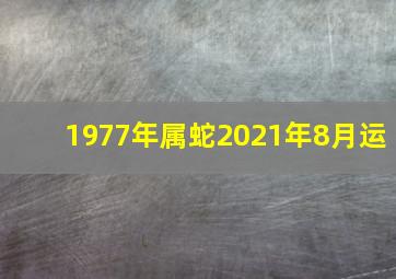 1977年属蛇2021年8月运