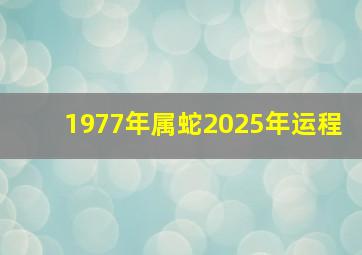 1977年属蛇2025年运程