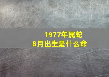 1977年属蛇8月出生是什么命