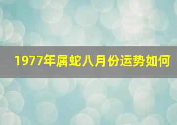 1977年属蛇八月份运势如何