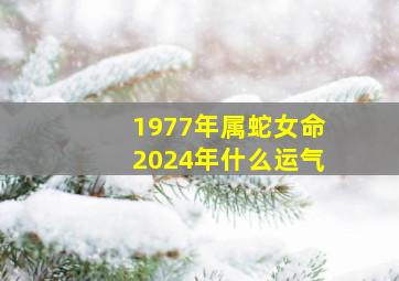 1977年属蛇女命2024年什么运气