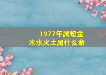 1977年属蛇金木水火土属什么命