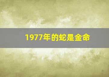 1977年的蛇是金命