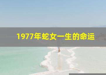 1977年蛇女一生的命运