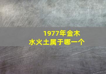 1977年金木水火土属于哪一个