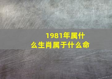 1981年属什么生肖属于什么命