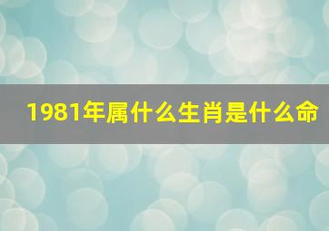 1981年属什么生肖是什么命