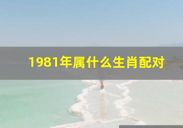 1981年属什么生肖配对