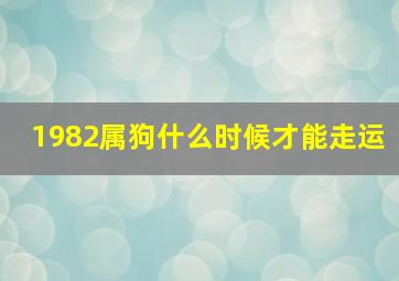 1982属狗什么时候才能走运