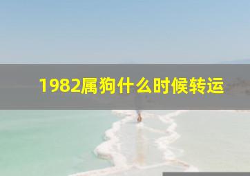 1982属狗什么时候转运