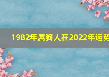 1982年属狗人在2022年运势