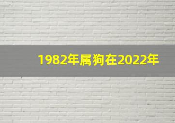 1982年属狗在2022年