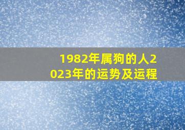 1982年属狗的人2023年的运势及运程