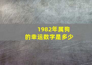 1982年属狗的幸运数字是多少