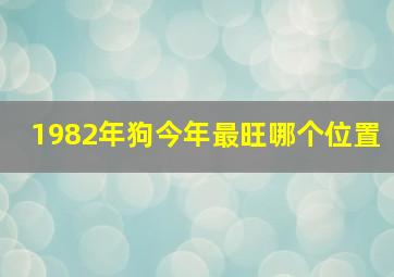 1982年狗今年最旺哪个位置